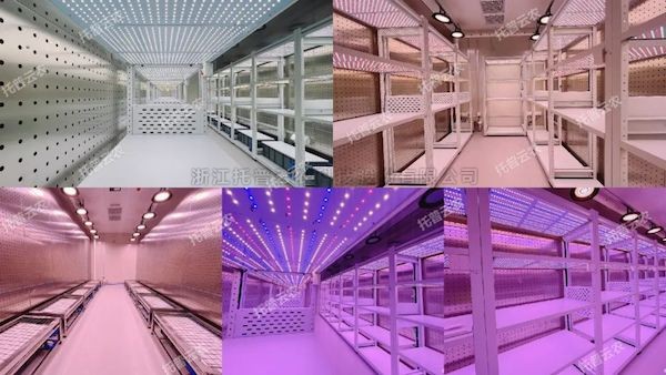 創(chuàng)新不止，煥新未來！托普云農(nóng)人工氣候室全面升級