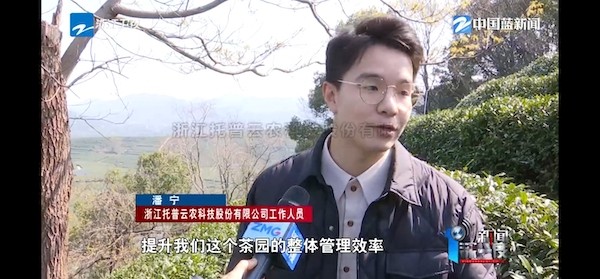 春茶開(kāi)采正當(dāng)時(shí)！揭秘托普云農(nóng)如何用科技“制”出一杯數(shù)字好茶