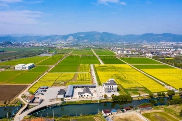 托普云農(nóng)高標(biāo)準(zhǔn)農(nóng)田建設(shè)答卷：用實(shí)踐書(shū)寫(xiě)政策新篇