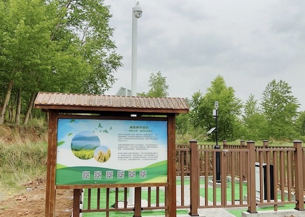 走進(jìn)國家級油菜夏繁基地，感受科技賦能蓬勃動...