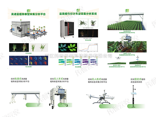 AI+农业新突破！托普高通量植物表型智能分析平台助力智慧农业创新发展
