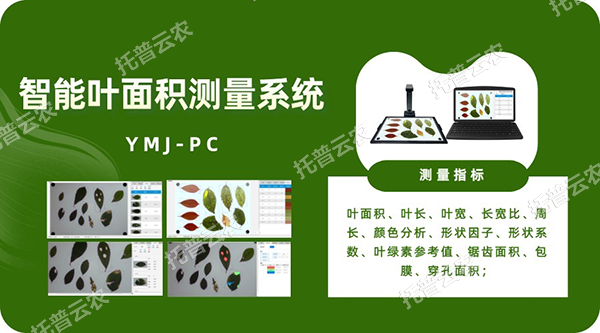 智能叶面积测量系统——秒级快速测叶片，多参数同步解析，云端数据好管理