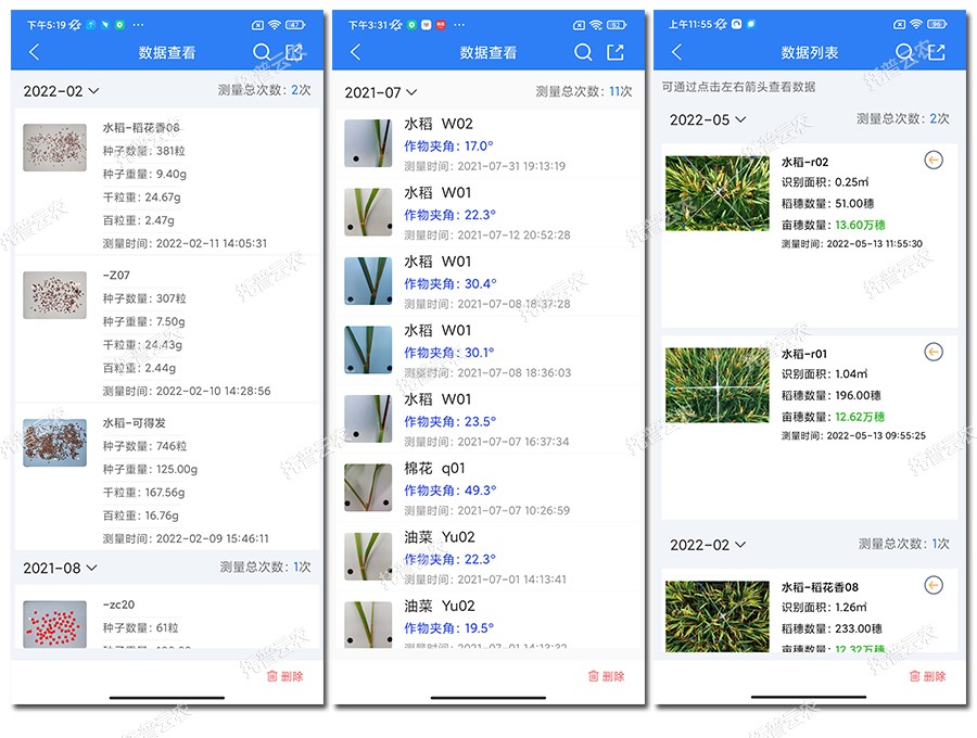 水稻表型檢測(cè)儀數(shù)據(jù)結(jié)果