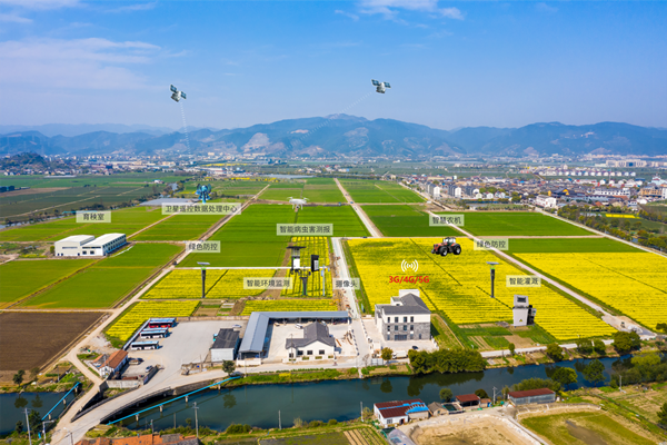 國家數(shù)字種業(yè)創(chuàng)新應用基地建設方案