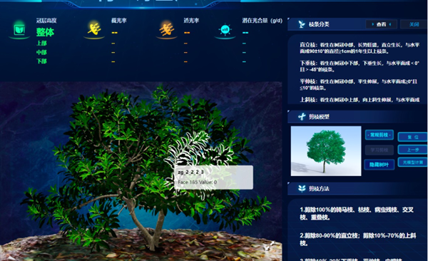 “云”上种颗杨梅树，农户照着养杨梅