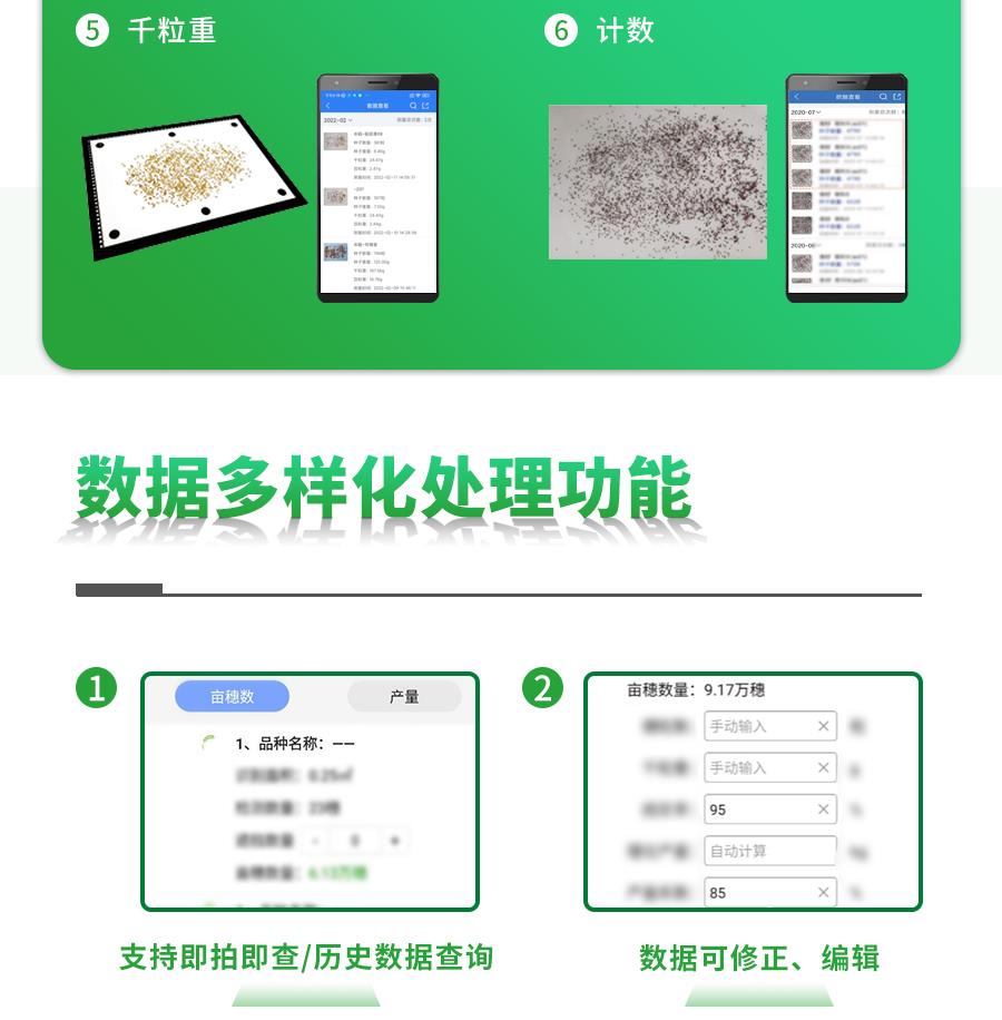 水稻表型檢測(cè)系統(tǒng)