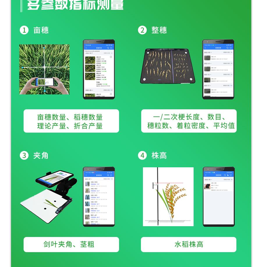 水稻表型檢測(cè)系統(tǒng)