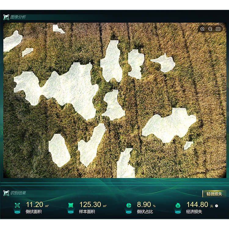 【750】低空遙感植物表型分析系統(tǒng)1.png